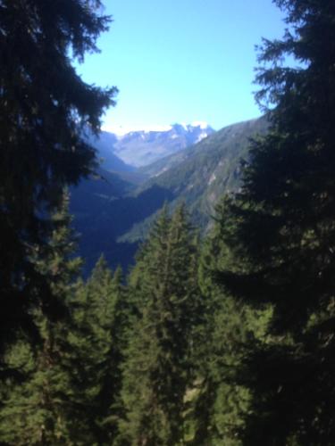 a view of a valley with trees and mountains at Ferienwohnung Moritz in Kaunertal