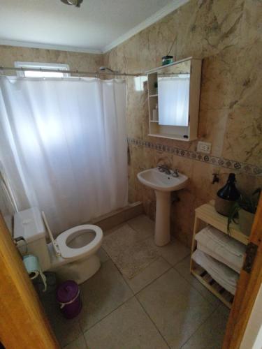 ein Badezimmer mit Toilette und Waschbecken in der Unterkunft Acol cabañas 1 y 2 in Perito Moreno
