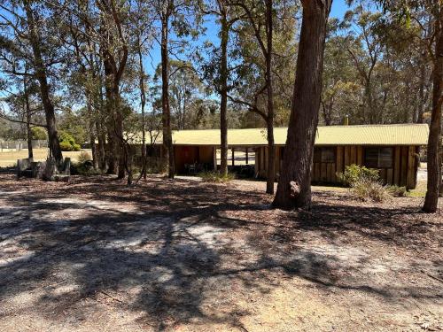 a house in the middle of a forest of trees at Bournda Cabins at Woodbine in Bournda Island