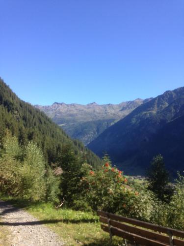 a bench on the side of a hill with mountains at Ferienwohnung Moritz in Kaunertal