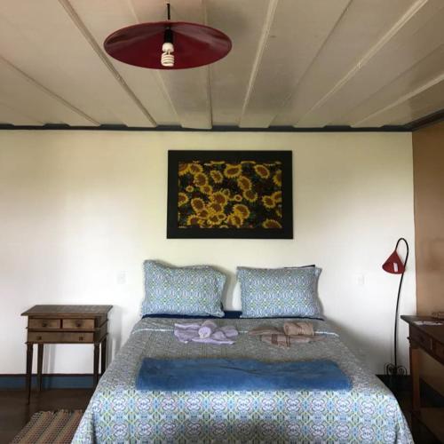 a bedroom with a bed and a painting on the wall at Chales das Andorinhas in Lavras Novas