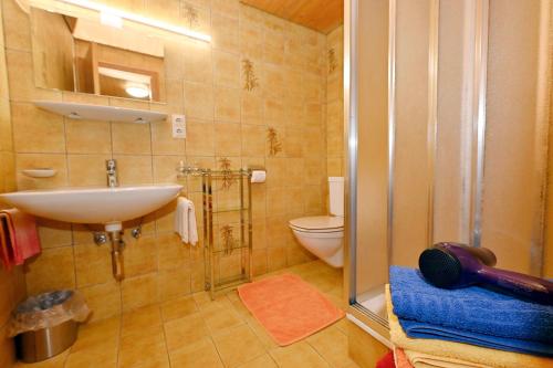 查贡斯Rundblick 1 Gartenwohnung的带水槽和马桶的浴室