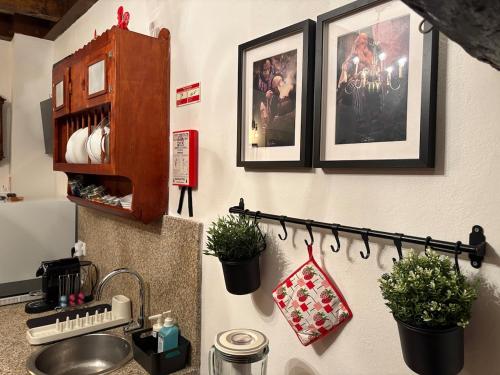 a kitchen with a sink and some pictures on the wall at Sidrós Houses in Vila Nova