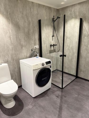 e bagno con servizi igienici, doccia e lavatrice. di Langhaugen a Kabelvåg