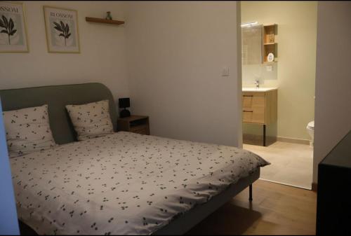 ein Schlafzimmer mit einem Bett und ein Badezimmer in der Unterkunft Cosy appartement proche saint emilion in Le Fieu