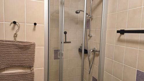 une douche avec une porte vitrée dans une salle de bain dans l'établissement Waldliebe, à Bad Sachsa