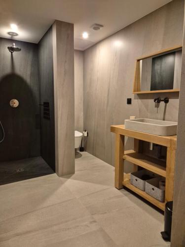 Un baño con lavabo e inodoro en Chalet Louline - Châtel, en Châtel