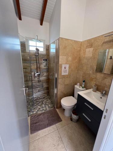 a bathroom with a shower and a toilet and a sink at Le Doux Paradise- GOYA in Sainte-Rose