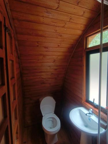 a small bathroom with a toilet and a sink at Silua Eco glamping in Tibasosa