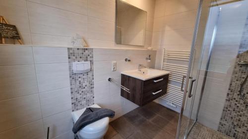 a bathroom with a toilet and a sink and a shower at Ferienhaus Klippenbarsch in Dornum