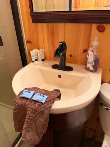 Vannituba majutusasutuses Snowbelt Cabin Rustic Stay On Orv Trails