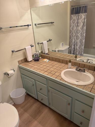 Koupelna v ubytování Cozy Condopet Friendly Slopes Brewery