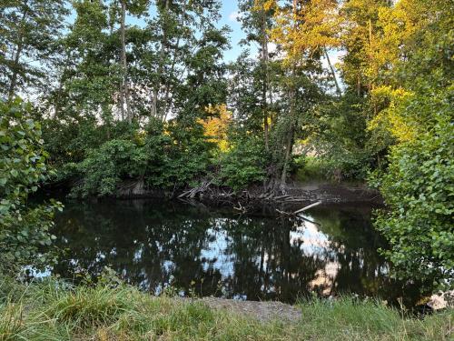 Loodusmaastik puhkemaja lähedal