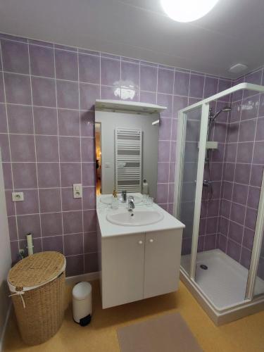 a bathroom with a sink and a shower at appartement 35m2 in Dompierre-les-Ormes