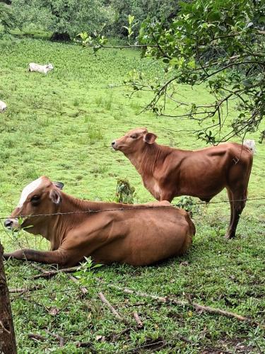 Foto de la galería de Hospedaje la subidita 1 en Colón
