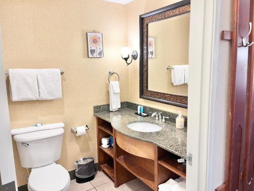 une salle de bain avec toilettes, lavabo et miroir dans l'établissement Bright & Comfy Double Queen Suite at Zermatt - 206, à Mound City