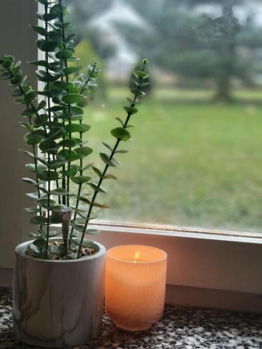 Zahrada ubytování Panorama Widok