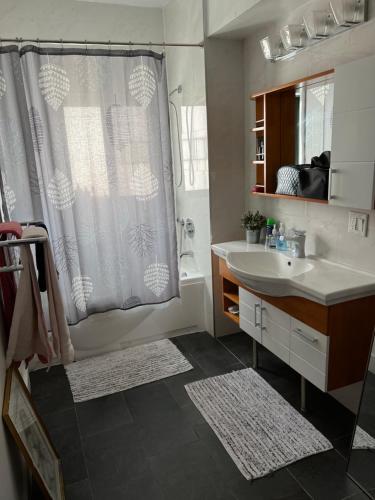 une salle de bain avec un lavabo et un rideau de douche dans l'établissement Furnished 2bed 2bath by Hudson River, à West New York