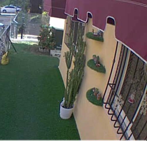 a play structure with a plant in a pot on a playground at Apartamentos en Pablo mellas morales 3ra etapa M-R42 Apt 101 Santo Domingo in Hato Nuevo