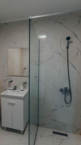 a bathroom with a shower and a sink at Gigios Sport&Relax in Băileşti