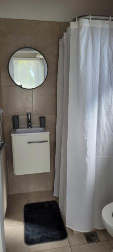 a bathroom with a sink and a toilet and a mirror at La iconica-tiny house in El Calafate