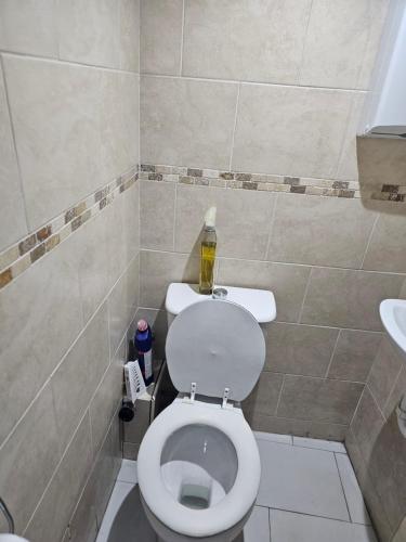 a small bathroom with a toilet and a sink at Penge lovely studio in Sydenham