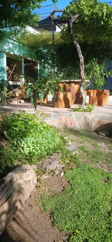 ein Park mit einer Bank, einem Baum und Gras in der Unterkunft Tu Lugar en Capilla Del Monte in Capilla del Monte