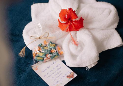 a red flower and a note on a towel at Pousada do Mestre in Pontal do Paraná