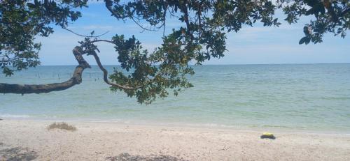 Naturlandskabet i nærheden af feriehuset