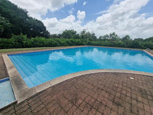 カイエンヌにあるStudio Selvaの青い水の大きなプール