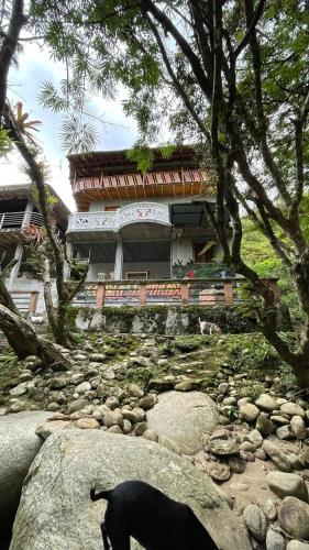 a black dog standing on a rock in front of a building at Hostal Vista Hermosa in San Rafael