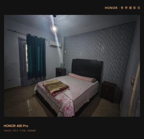 قرية النورس