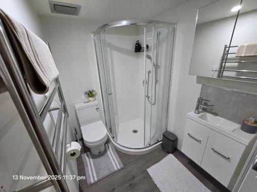a bathroom with a shower and a toilet and a sink at Manuki Tiny Retreat - Private stay Christchurch in Christchurch