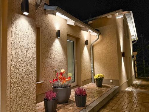 a row of potted plants on a patio at night at WILD&COZY Ferienhaus mit luxuriöser Küche & Garage in Blankenburg