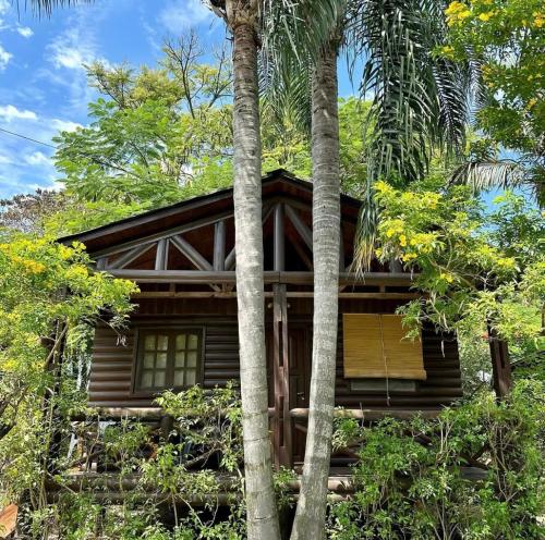 eine Blockhütte im Wald mit Palmen in der Unterkunft Cabañas Parana Ranch in Ituzaingó