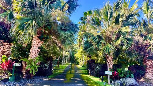 a gate to a garden with palm trees at Gated Tropical Estate in Kailua Kona with Hot Tub in Kailua-Kona