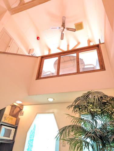 a room with a ceiling with a window and a plant at 南の楽園 in Higashi-iwashiro
