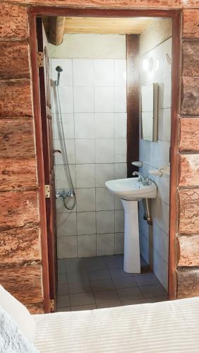 ein Badezimmer mit Waschbecken und Dusche in der Unterkunft Mangoré Cabaña 2 in La Granja