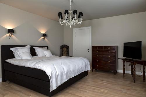 a bedroom with a large bed and a television at B&B Vinedo in Zele