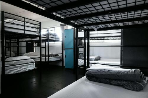 a room with several bunk beds in a room at Nomads Noosa in Noosa Heads