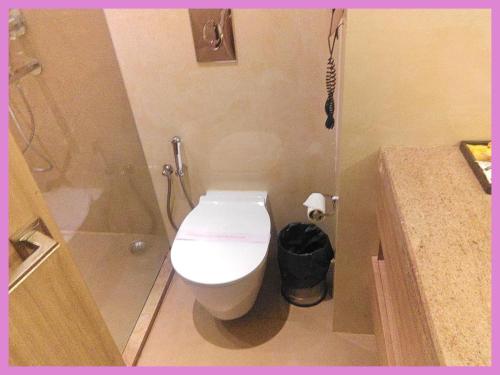 une petite salle de bain avec toilettes et douche dans l'établissement Jagannath Temple Hometoun Palace Resort - Fully Air Hotel, à Purî