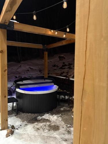 CardiffCozy Log Cabin with Lake Access的相册照片