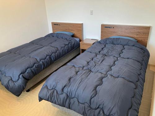 two beds sitting next to each other in a bedroom at HOTEL PAiKAJi in Ishigaki Island