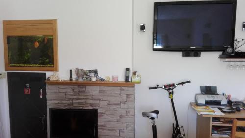 a flat screen tv hanging on a wall with a fireplace at Penzion Kabourek in Vítkovice