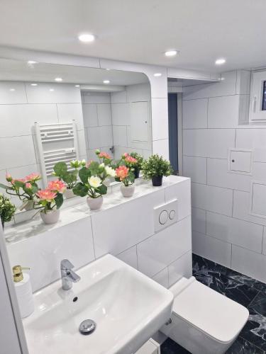a bathroom with a sink and a mirror and potted plants at Ferienwohnung in Büdingen in Büdingen
