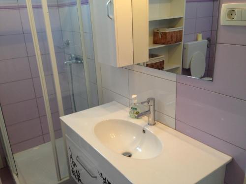 a bathroom with a sink and a shower at Apartma R Sport in Tolmin