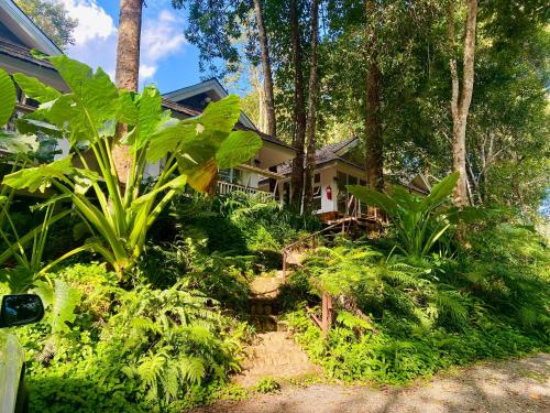 Fotografie z fotogalerie ubytování Arb-Pa Home And Cafe At Mae On v destinaci Ban Huai Kaeo