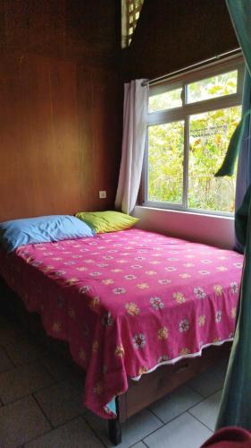 a bedroom with a pink bed with a window at Haut de Baie de Cook Moorea 6 nuits minimum in Paopao