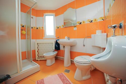 Gallery image of Vila Horia Bradet in Săcele