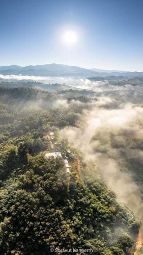 an aerial view of a forest engulfed in fog at Doi Sang Farm Stay - ดอยซางฟาร์มสเตย์ in Ban Huai Kom